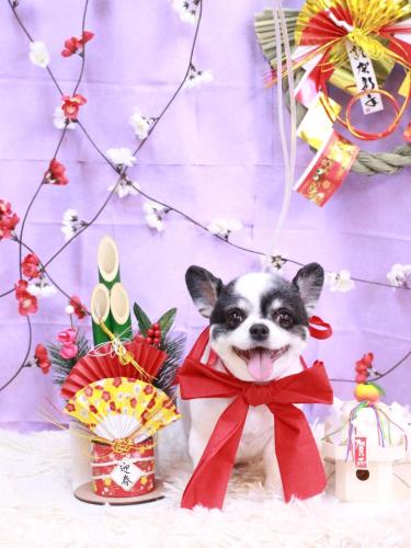 20230110プアちゃん